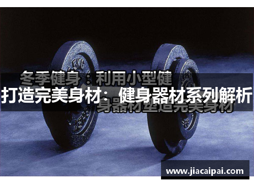打造完美身材：健身器材系列解析