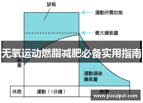 无氧运动燃脂减肥必备实用指南