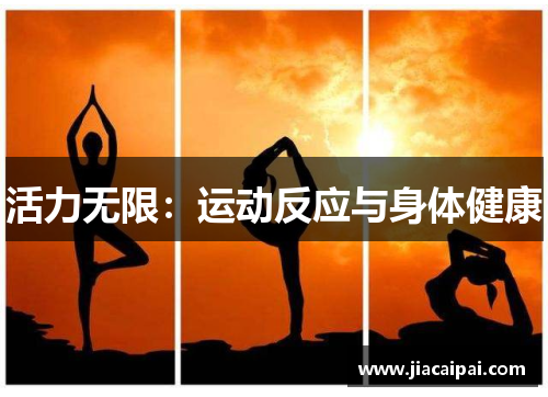 活力无限：运动反应与身体健康